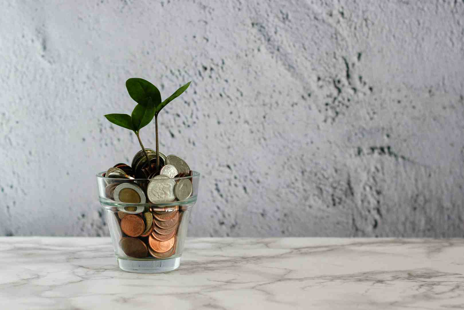 financial growth strategies - financial growth strategies